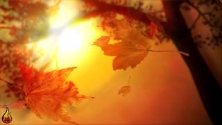 1 Hour Relaxing Music | Autumn Leaves | Instrumental Guitar, Piano, Drums ♫451