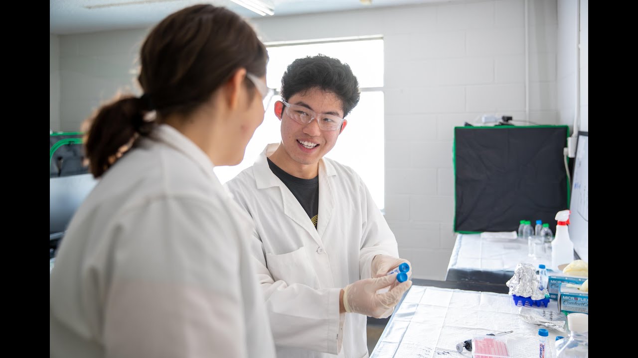 About the Catalyst Research Program