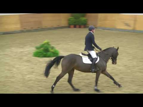 121. Checker v. Cormint - Contender