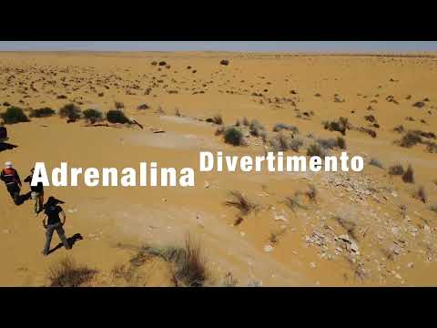 Video: Rally nel Deserto