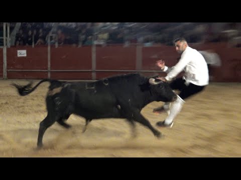 Toros Bravos Concurso Siete Iglesias 2022