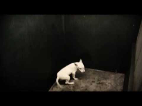 Hikatori vs Duskant Ombliksem Naamloos gehokte nasie