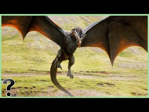 What If Wyvern's Were Real?