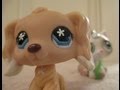 Littlest Pet Shop: Stuck in Iceland (Episode 2 ...