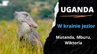 3️⃣ UGANDA 🇺🇬 - Safari w krainie jezior.