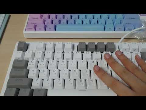 적축과 무접점 키보드 비교