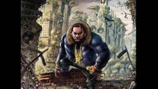 The Reign - Raekwon