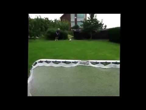 A normal day for the skillfriends