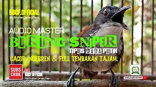 Download lagu MASTERAN BURUNG SNIPER { TEPUS DADA PUTIH } GACOR, NGEBREN & FULL TEMBAKAN TAJAM mp3