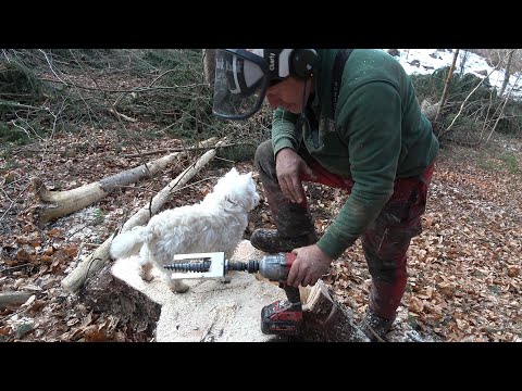 Charly Testet Fällkeile von Forstreich - GM Tech - Bast Ing