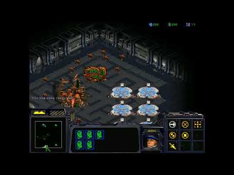 StarCraft 1: The Reaver Menace Secret - A Symphony of Teeth and Claws