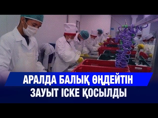 Аралдың балығы Еуропаға экспортталады