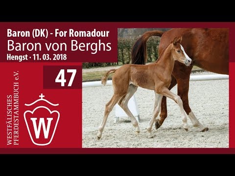 47 Baron von Berghs HF v. Baron (DK) - For Romadour