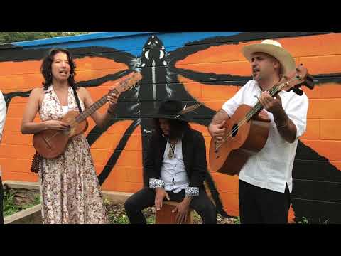 Ida y Vuelta – COLAS son jarocho en Chicago