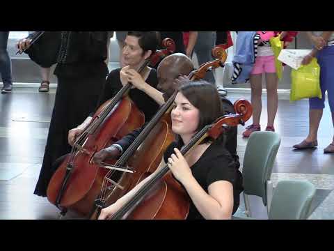 Flash Mob - Performance by Raleigh Symphony Orchestra🎵💃🏽