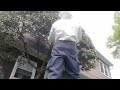 Taking Down a Big Bald-Faced Hornets Nest in Far Hills, NJ
