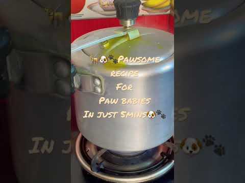 🦮🐾Main course meal in just 5mins🐶🐾