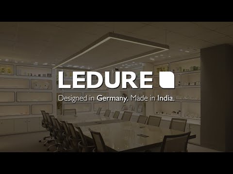 Ledure Biz