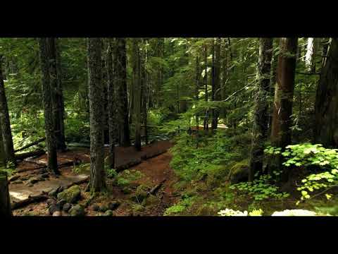 GOSPEL READING LUKE 9:43-45