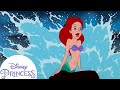 Dream Big Princess I Dream Ariel 2