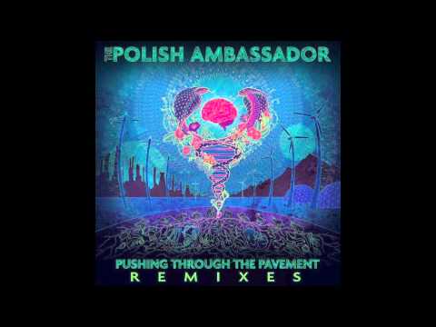 The Polish Ambassador - Let The Rhythm Just ft.  Mr.  Lif & Ayla Nereo (Mr.  Rogers Remix)