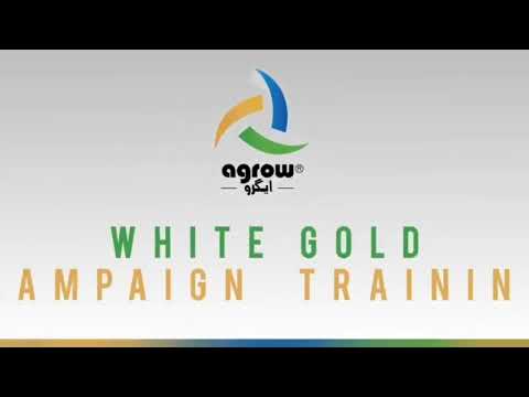 White Gold  Traning, Agrow Limited