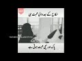 Tera Pyar Hai Meri Bandagi Status BEST Couple Whatsapp Status Nusrat Fateh Ali Khan