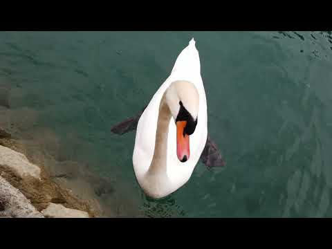 Struga - Macedonia 2021. Walking around Struga, A Trip Not To Miss