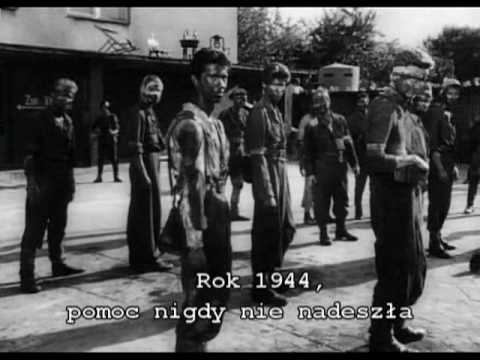 Kasiacygnar’s Video 49684491053 mcrEknRDvUg