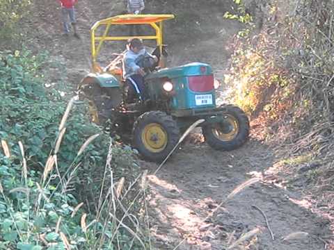 Alin spaima danciulestiului