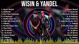 Wisin &amp; Yandel 2024 MIX Playlist - Besos Moja2, Aullando, Me Estás Tentando, Si Supieras