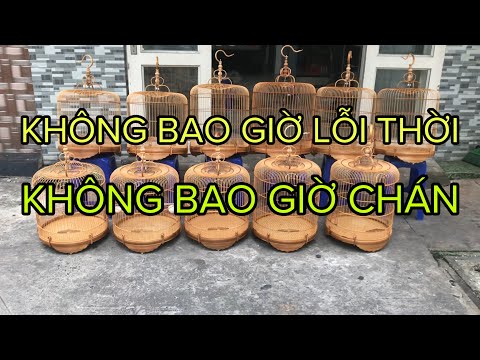 MẪU LỒNG THAN BÊN MÌNH BÁN CHẠY NHẤT