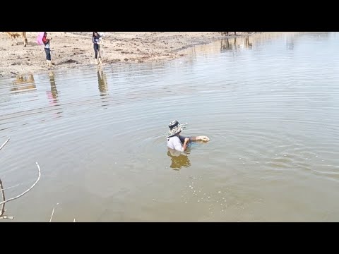 PESCANDO COM ÁGUA NO PESCOÇO ELE PEGOU SÓ OS BRUTOS NESSE AÇUDE 