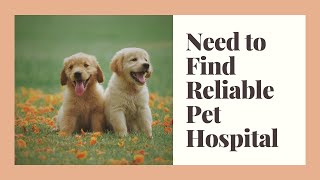 Need to find Reliable Pet Hospital
