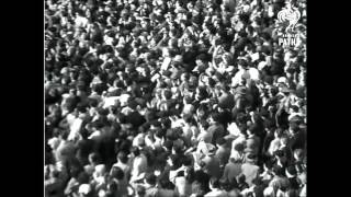 Tightrope - Official Video - kNIFE & fORK