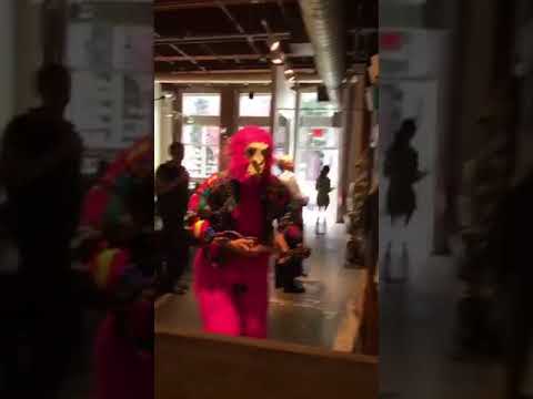 download lagu mp3 mp4 Singing Telegram Massachusetts, download lagu Singing Telegram Massachusetts gratis, unduh video klip Singing Telegram Massachusetts