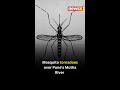 Watch Mosquito Tornado Looms Over Pune River NewsX