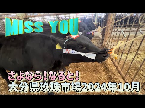 オーシャン: 謎の新種のウイルスが発見 – 誰もこれまでにそのようなものを見たことがありません