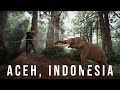 Aceh Indonesia Menarik BANGAT Budaya Aceh Tidur Dengan GAJAH