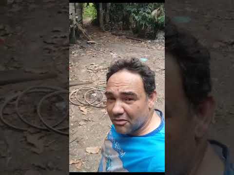 Quadriciclo Marajoara, Vila Antoni, Curralinho, Arquipélago do Marajó, Pará,Amazonia , Brasil #ilhas