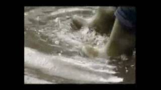 Como Duele... Noelia