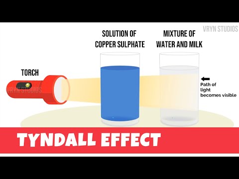 Tyndall Effect Animation - Explanation and Experiment (CBSE 9th)