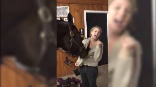 Horse Plays with Girls Hoodie