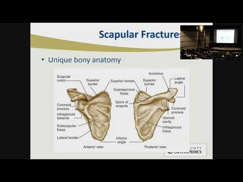 Clavicle and Scapula Fractures - Stephen Hunt, MD