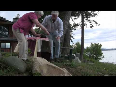 Timberwolf's Release