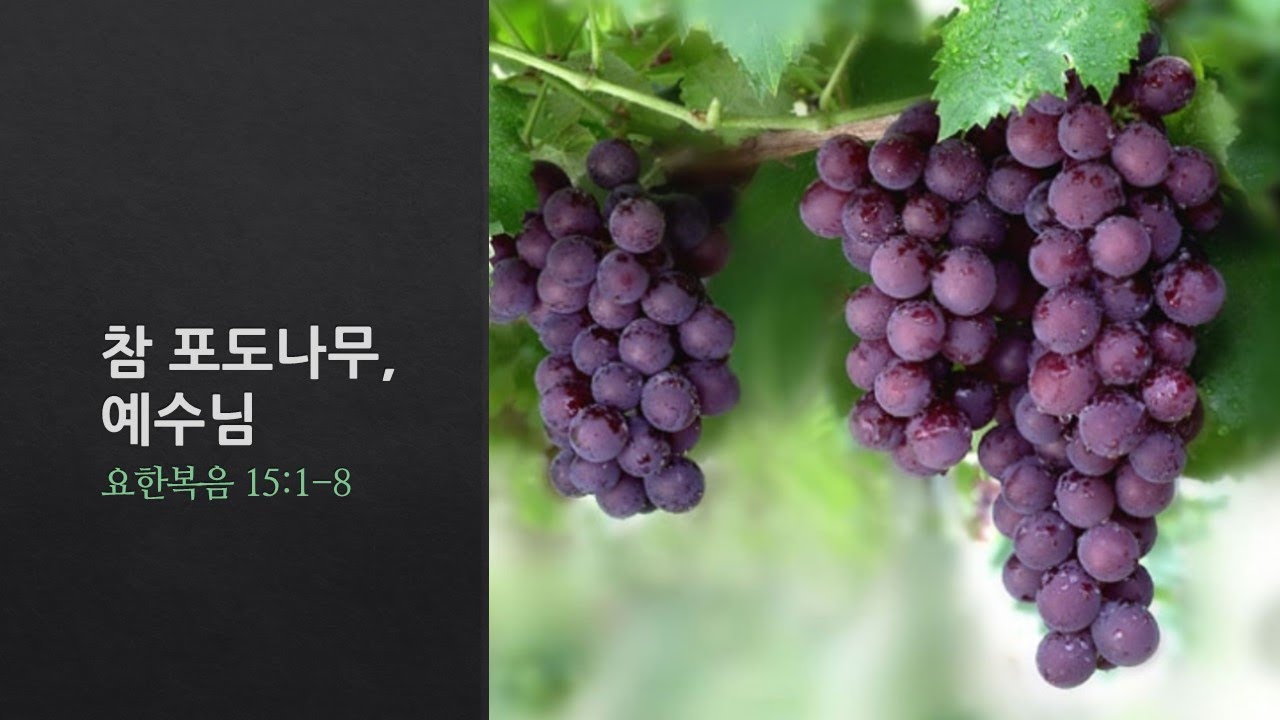 설교기본이미지