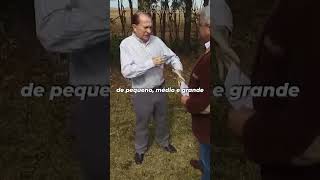 JOSÉ AROLDO GALLASSINI E O COLOSSO CHAMADO COAMO