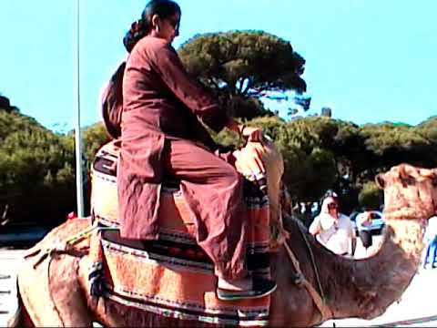 VIDEO OF OUR CAMEL RIDE IN MOROCCO IN 2001
