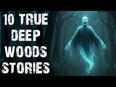 10 True Disturbing Deep Woods Scary Stories | Real Forest Horror Stories To Fall Asleep To