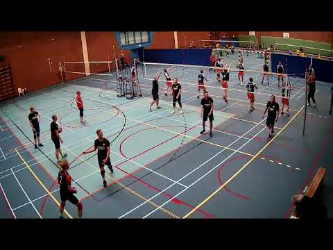 Avior HS2 - Harembee H1